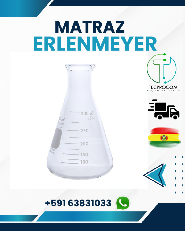 Matraz erlenmeyer